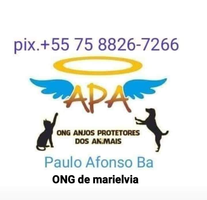 ONG ANJOS PROTETORES DOS ANIMAIS